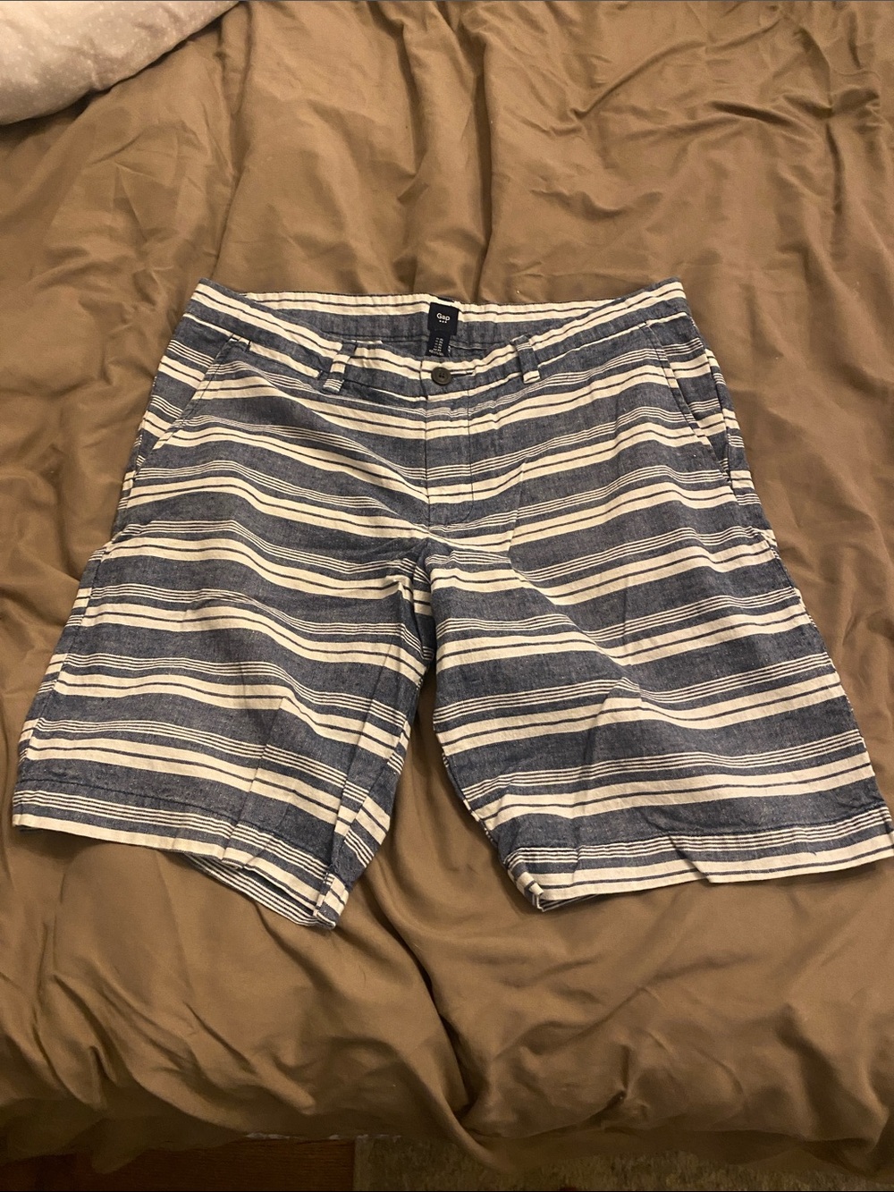 GAP Blue and White Striped Flat Front Men's Shorts